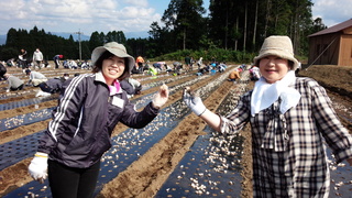 141018にんにく植付祭⑮.jpg