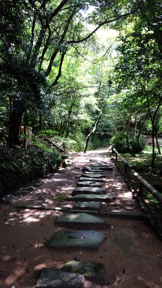 立田自然公園②.jpg