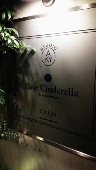 CAVE Cindellera.jpg